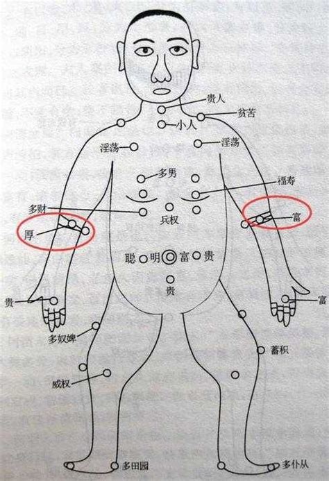 前手臂有痣|從手上的痣看你的好運在哪？上手臂有痣善於察言觀色。